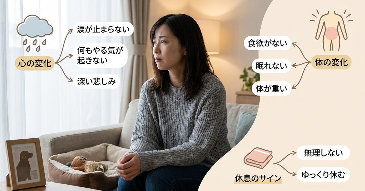 ペットロスが後からくるとき、心と体に起きている変化